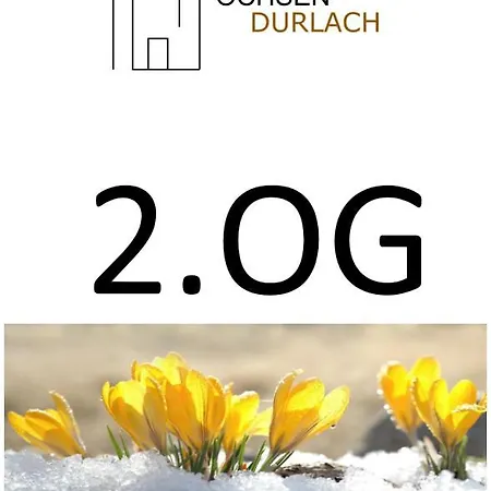 Apartment Ochsen-durlach *